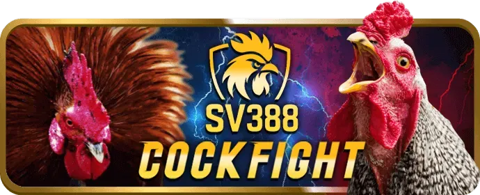 Cá cược thể thao a88 nổ hũ